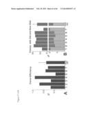 METHODS OF ISOLATING NON-SENESCENT CARDIAC STEM CELLS AND USES THEREOF diagram and image