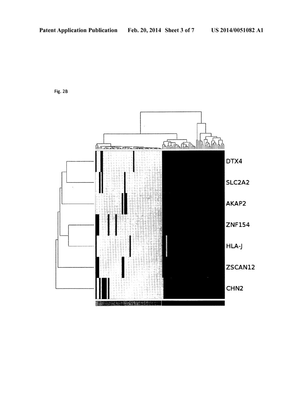 PROSTATE CANCER MARKERS - diagram, schematic, and image 04