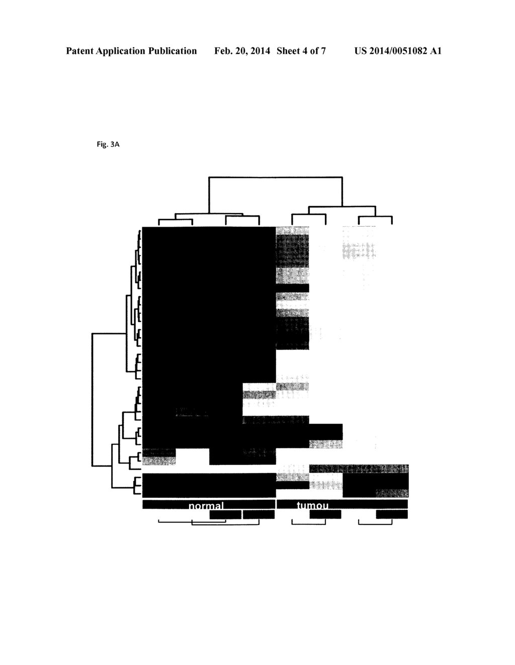 PROSTATE CANCER MARKERS - diagram, schematic, and image 05