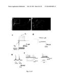 DIRECT REPROGRAMMING OF HUMAN FIBROBLASTS TO FUNCTIONAL NEURONS UNDER     DEFINED CONDITIONS diagram and image