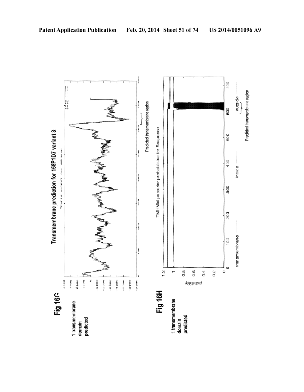 NUCLEIC ACID AND CORRESPONDING PROTEIN NAMED 158P1D7 USEFUL IN THE     TREATMENT AND DETECTION OF BLADDER AND OTHER CANCERS - diagram, schematic, and image 52