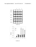 METHODE POUR MESURER LA RESISTANCE DE FILMS diagram and image