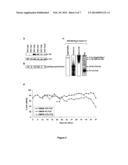 Stable Production of Lentiviral Vectors diagram and image