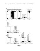 Stable Production of Lentiviral Vectors diagram and image