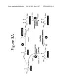 Micoorganisms and Methods for the Production of Fatty Acids and Fatty Acid     Derived Products diagram and image