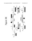 Micoorganisms and Methods for the Production of Fatty Acids and Fatty Acid     Derived Products diagram and image