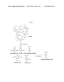 PROCESS OF BIOLOGICALLY PRODUCING A p-HYDROXYBENZOIC ACID diagram and image