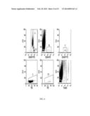 STEM CELL PACKAGING AND SHIPPING diagram and image