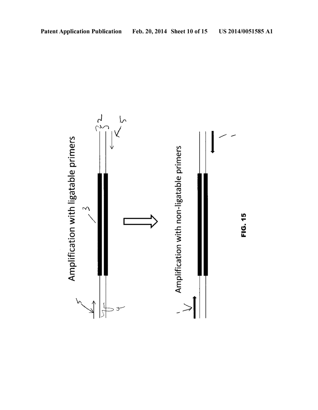 METHODS AND COMPOSITIONS FOR REDUCING GENETIC LIBRARY CONTAMINATION - diagram, schematic, and image 11