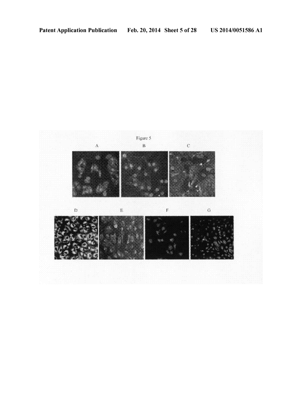 HIGH-THROUGHPUT METHODS TO PRODUCE, VALIDATE AND CHARACTERIZE MMABS - diagram, schematic, and image 06