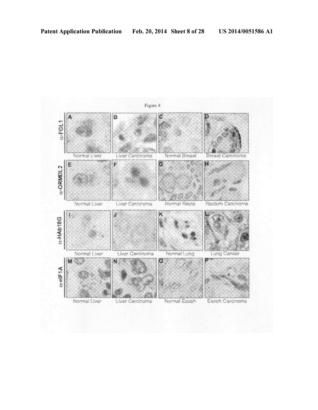 HIGH-THROUGHPUT METHODS TO PRODUCE, VALIDATE AND CHARACTERIZE MMABS - diagram, schematic, and image 09