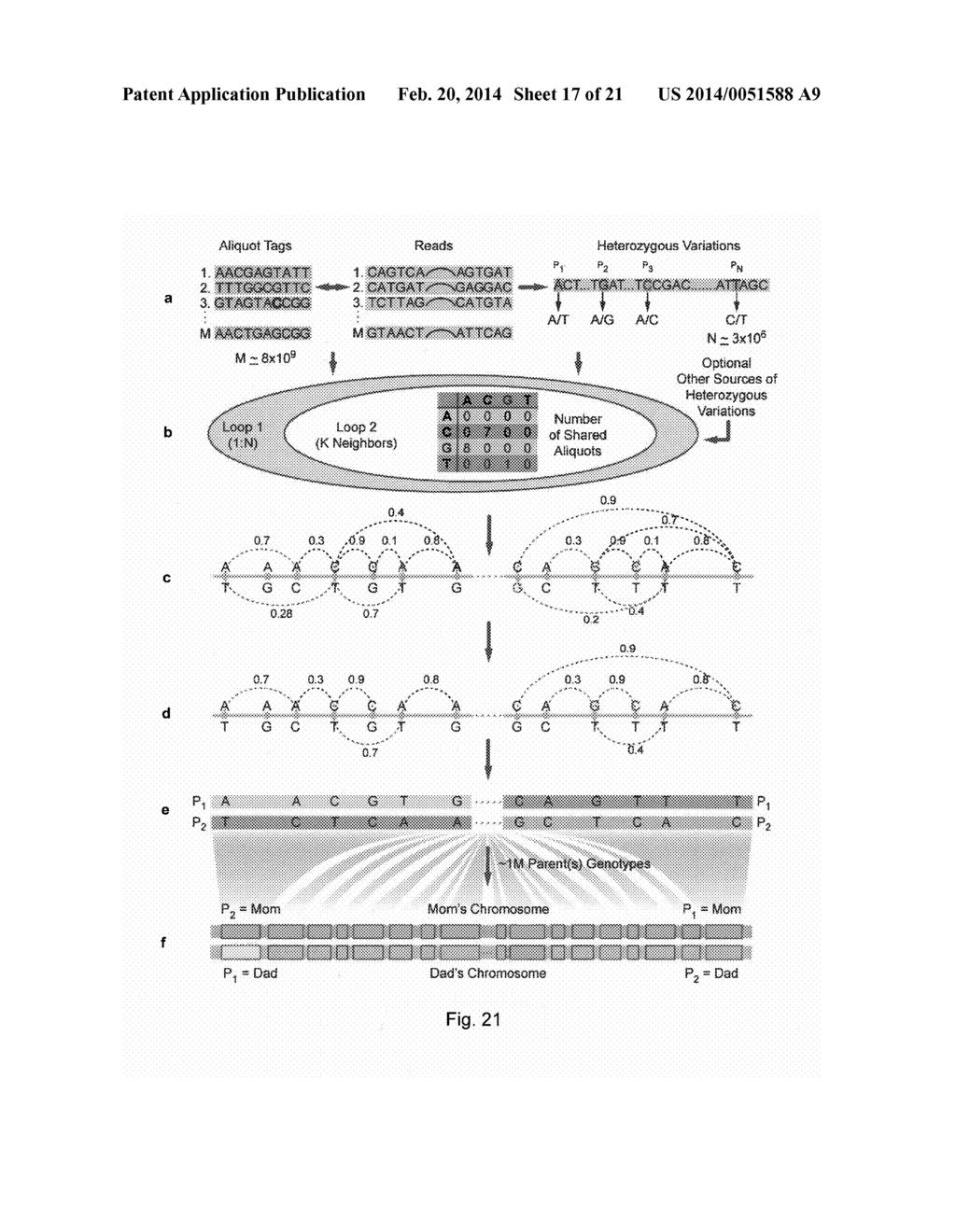 Sequencing Small Amounts of Complex Nucleic Acids - diagram, schematic, and image 18