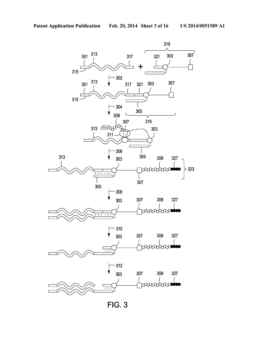 PEPTIDE CONSTRUCTS AND ASSAY SYSTEMS - diagram, schematic, and image 04