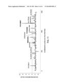 PEPTIDE CONSTRUCTS AND ASSAY SYSTEMS diagram and image