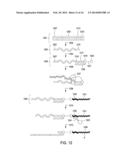 PEPTIDE CONSTRUCTS AND ASSAY SYSTEMS diagram and image