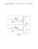 PEPTIDE CONSTRUCTS AND ASSAY SYSTEMS diagram and image