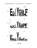 PEPTIDE CONSTRUCTS AND ASSAY SYSTEMS diagram and image