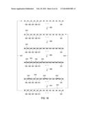 PEPTIDE CONSTRUCTS AND ASSAY SYSTEMS diagram and image