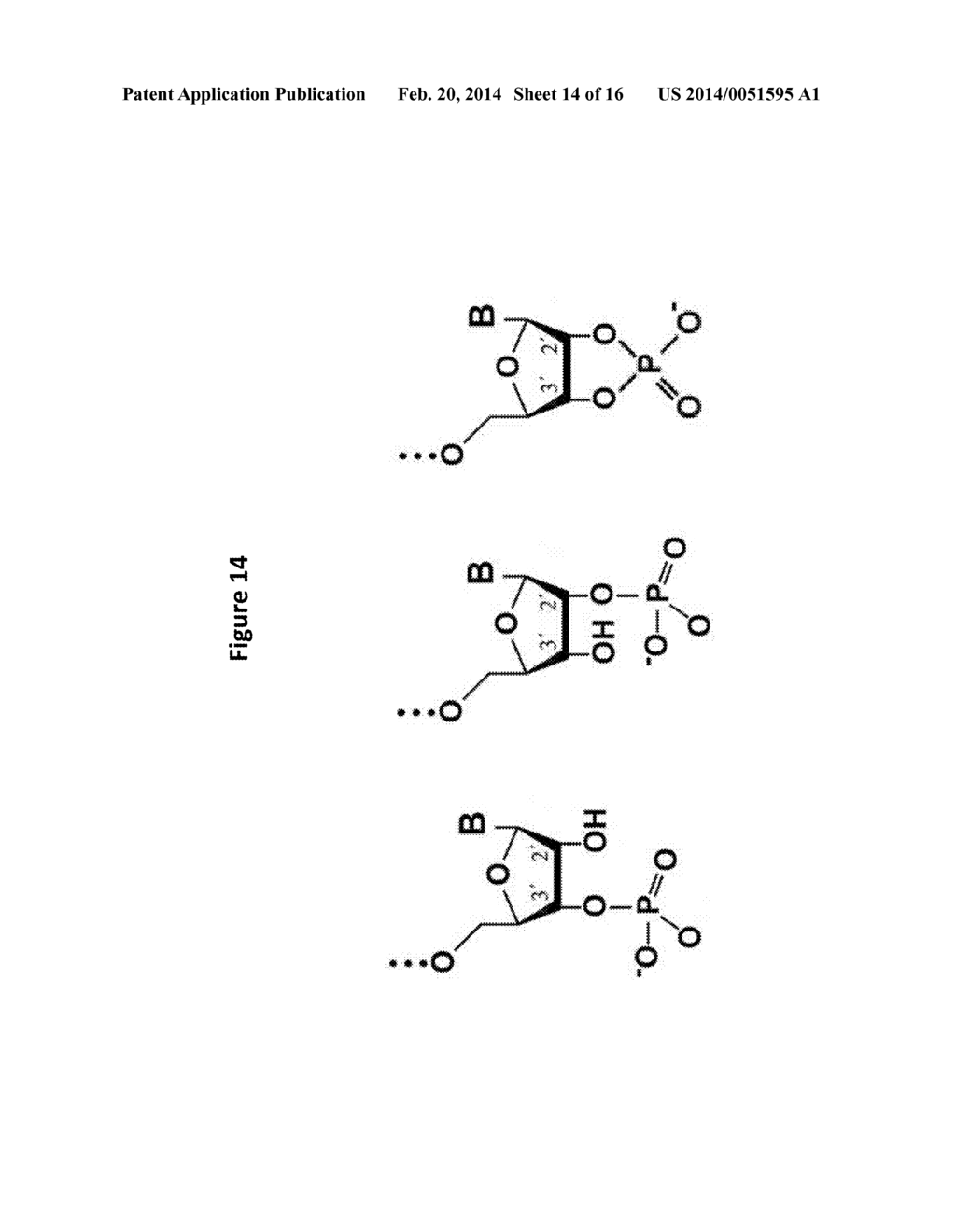 Methods and Compositions for Determining Nucleic Acid Degradation - diagram, schematic, and image 15