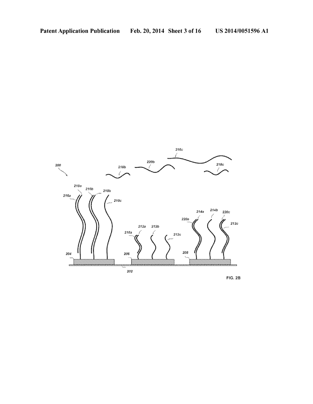 NUCLEIC ACID CLASSIFICATION - diagram, schematic, and image 04