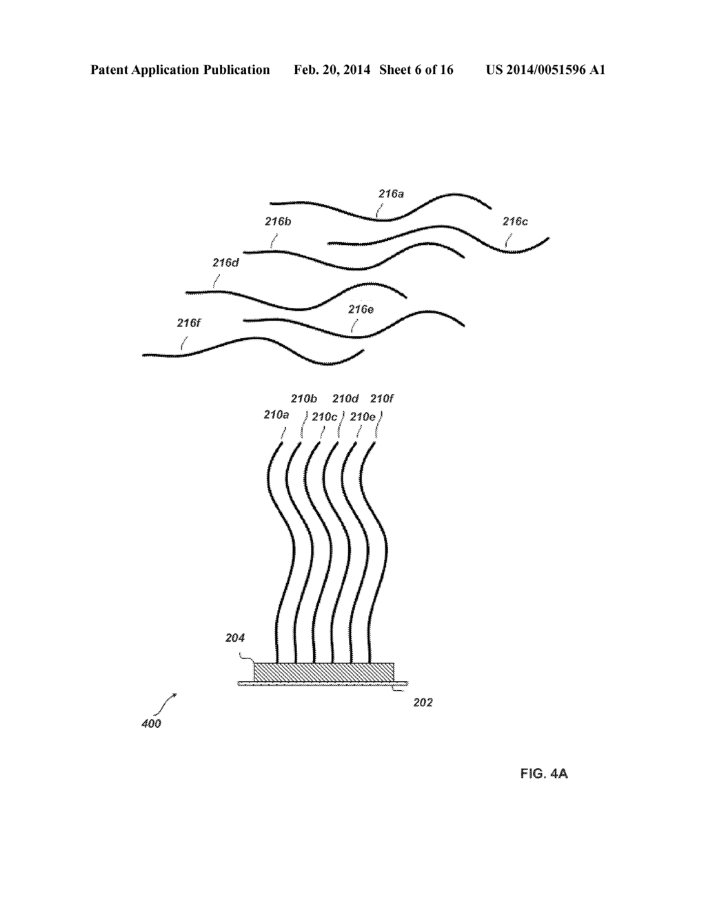 NUCLEIC ACID CLASSIFICATION - diagram, schematic, and image 07