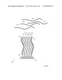 NUCLEIC ACID CLASSIFICATION diagram and image