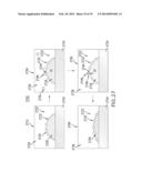 DETECTING ANALYTES USING LIPID MULTILAYER GRATINGS WITH ION CHANNELS diagram and image