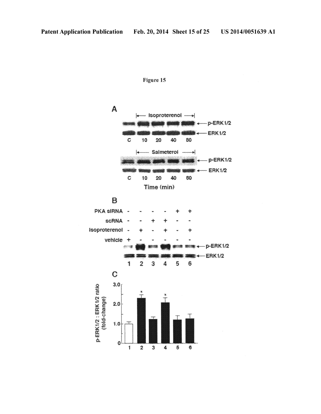 Compositions and Methods which modulate G-Protein Signaling for the     Treatment of Inflammatory Disorders such as Asthma and Allergic     Conjunctivitis - diagram, schematic, and image 16