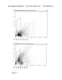 PHARMACEUTICAL COMPOSITION FOR TREATING HYPERPROLIFERATIVE DISEASES diagram and image