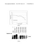 TREATMENT OF MULTIPLE MYELOMA WITH MASITINIB diagram and image