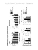 METHODS FOR THE TREATMENT AND DIAGNOSTIC OF PULMONARY ARTERIAL     HYPERTENSION diagram and image