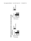 METHODS FOR THE TREATMENT AND DIAGNOSTIC OF PULMONARY ARTERIAL     HYPERTENSION diagram and image