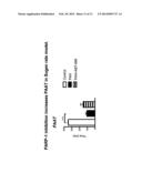 METHODS FOR THE TREATMENT AND DIAGNOSTIC OF PULMONARY ARTERIAL     HYPERTENSION diagram and image