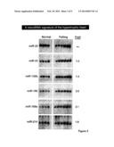 MICRO-RNAS OF THE MIR-15 FAMILY MODULATE CARDIOMYOCYTE SURVIVAL AND     CARDIAC REPAIR diagram and image