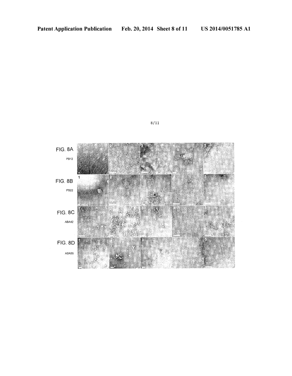 HIGH DENSITY MEMBRANE PROTEIN MEMBRANES - diagram, schematic, and image 09