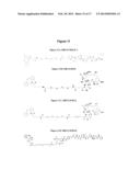 Modified Fc Proteins Comprising Site-Specific Non-Natural Amino Acid     Residues, Conjugates of the Same, Methods of Their Preparation and     Methods of Their Use diagram and image