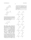 Modified Fc Proteins Comprising Site-Specific Non-Natural Amino Acid     Residues, Conjugates of the Same, Methods of Their Preparation and     Methods of Their Use diagram and image