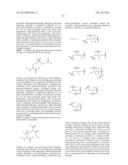 Modified Fc Proteins Comprising Site-Specific Non-Natural Amino Acid     Residues, Conjugates of the Same, Methods of Their Preparation and     Methods of Their Use diagram and image