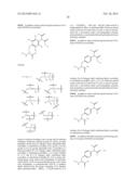 Modified Fc Proteins Comprising Site-Specific Non-Natural Amino Acid     Residues, Conjugates of the Same, Methods of Their Preparation and     Methods of Their Use diagram and image