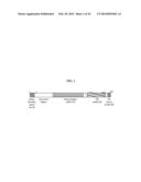 PROCESS FOR PURIFYING RECOMBINANT PLASMODIUM FALCIPARUM CIRCUMSPOROZOITE     PROTEIN diagram and image