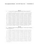 PROCESS FOR PURIFYING RECOMBINANT PLASMODIUM FALCIPARUM CIRCUMSPOROZOITE     PROTEIN diagram and image