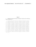 PROCESS FOR PURIFYING RECOMBINANT PLASMODIUM FALCIPARUM CIRCUMSPOROZOITE     PROTEIN diagram and image