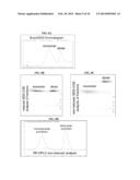 PROCESS FOR PURIFYING RECOMBINANT PLASMODIUM FALCIPARUM CIRCUMSPOROZOITE     PROTEIN diagram and image