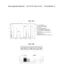 PROCESS FOR PURIFYING RECOMBINANT PLASMODIUM FALCIPARUM CIRCUMSPOROZOITE     PROTEIN diagram and image