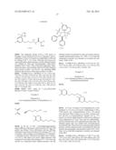 RUTHENIUM-DIAMINE COMPLEX AND METHOD FOR PRODUCING OPTICALLY ACTIVE     COMPOUND diagram and image