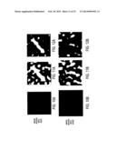 LOCALIZATION OF A TARGET USING IN VIVO MARKERS diagram and image