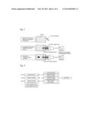 FLUORESCENT IMAGE ACQUISITION AND PROJECTION APPARATUS FOR REAL-TIME     VISUALIZATION OF INVISIBLE FLUORESCENT SIGNAL diagram and image