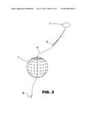 Fish-Ball Fish Attractor diagram and image