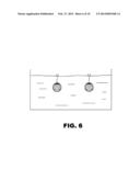 Fish-Ball Fish Attractor diagram and image