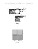 BINOCULAR VISUAL EXPERIENCE ENRICHMENT SYSTEM diagram and image